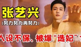 狗仔爆料娱乐圈顶流,娱乐圈顶流背后的惊人真相