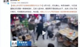 石家庄假食爆料事件视频,揭露食品安全背后的惊人真相