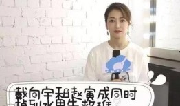 陈紫函采访爆料视频,揭秘演艺圈幕后故事与心路历程